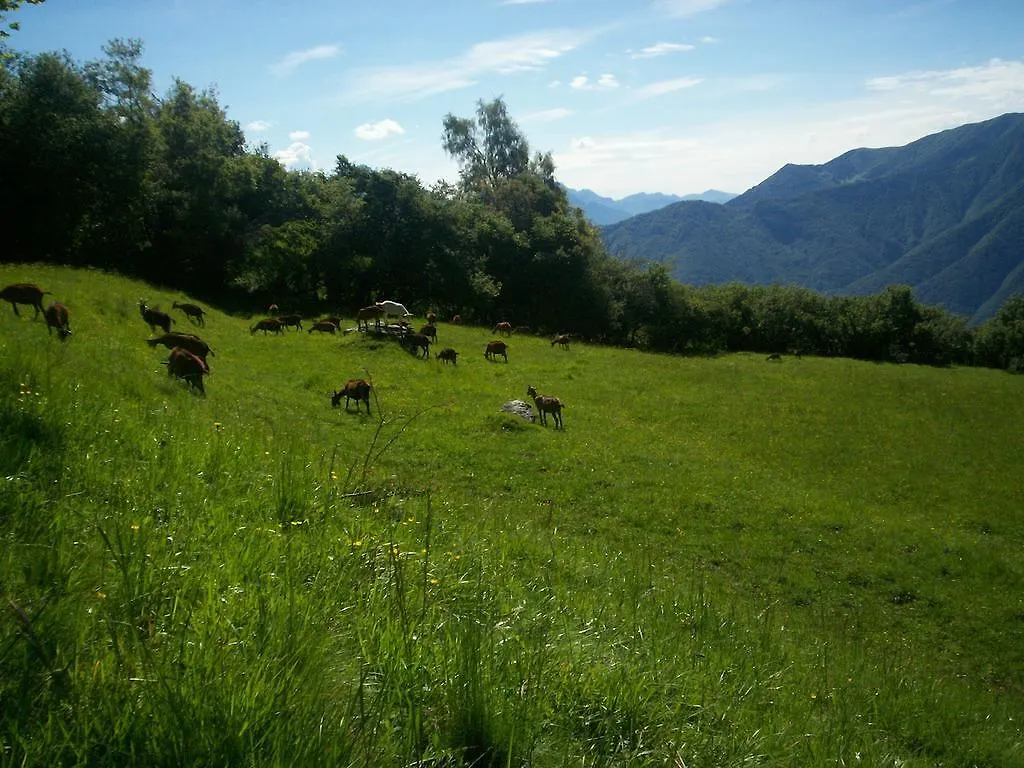 Alpe Di Sala Villa Sala Comacina